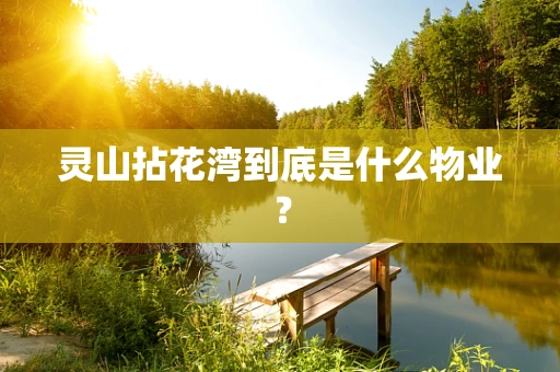 灵山拈花湾到底是什么物业？