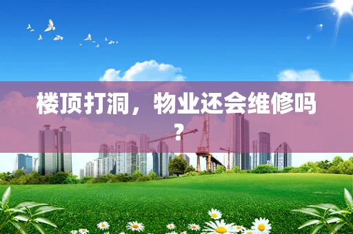 楼顶打洞，物业还会维修吗？