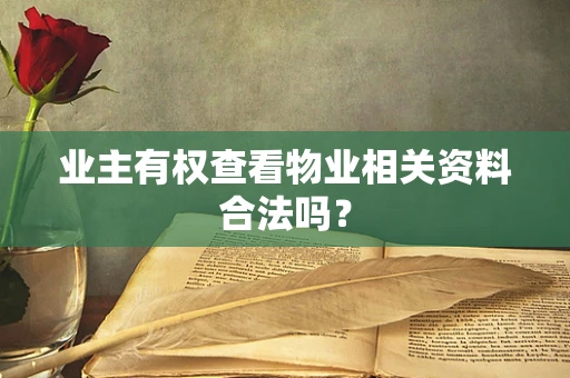 业主有权查看物业相关资料合法吗？