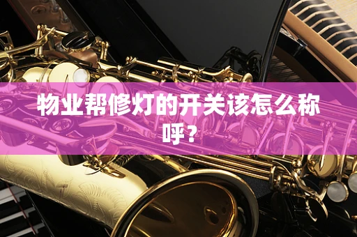 物业帮修灯的开关该怎么称呼？