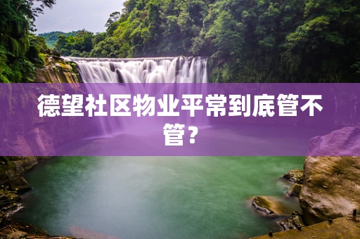 德望社区物业平常到底管不管？