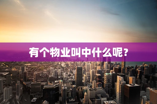 有个物业叫中什么呢？