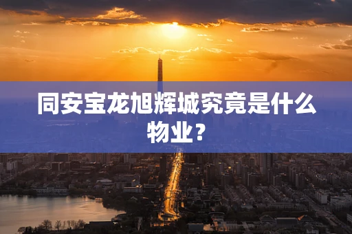 同安宝龙旭辉城究竟是什么物业？