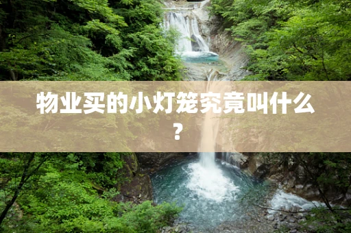 物业买的小灯笼究竟叫什么？