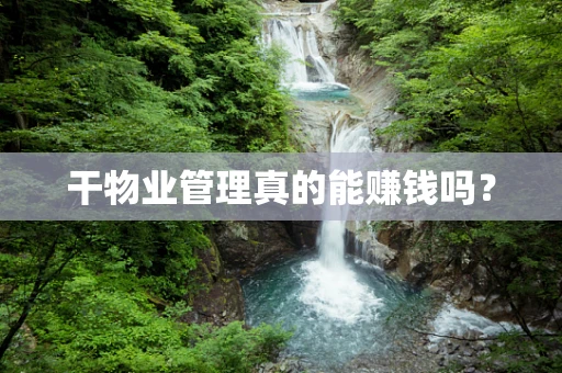干物业管理真的能赚钱吗？