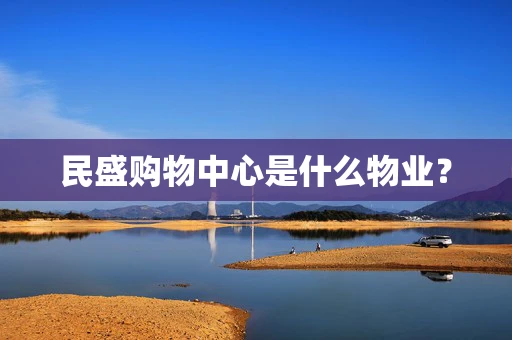 民盛购物中心是什么物业？
