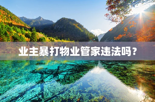 业主暴打物业管家违法吗？