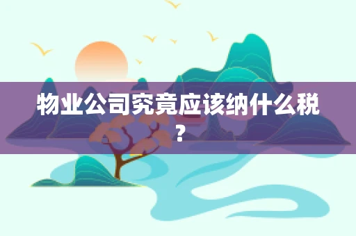 物业公司究竟应该纳什么税？