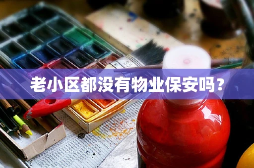 老小区都没有物业保安吗？
