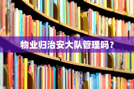 物业归治安大队管理吗？