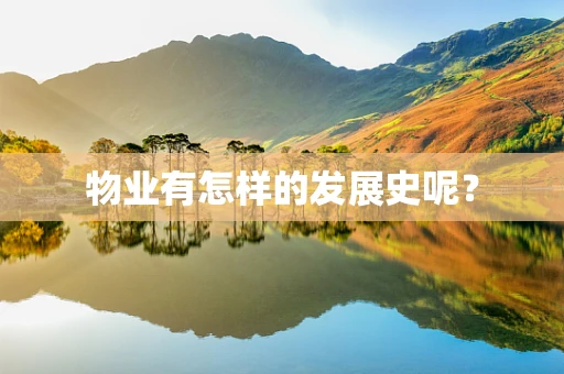 物业有怎样的发展史呢？