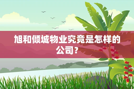 旭和倾城物业究竟是怎样的公司？