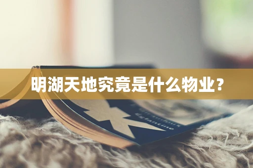 明湖天地究竟是什么物业？