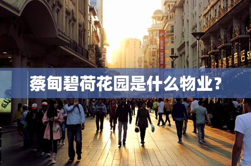 蔡甸碧荷花园是什么物业？