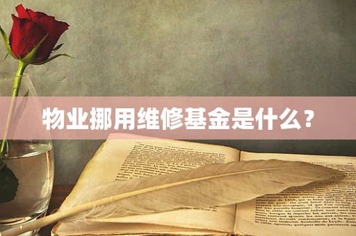 物业挪用维修基金是什么？