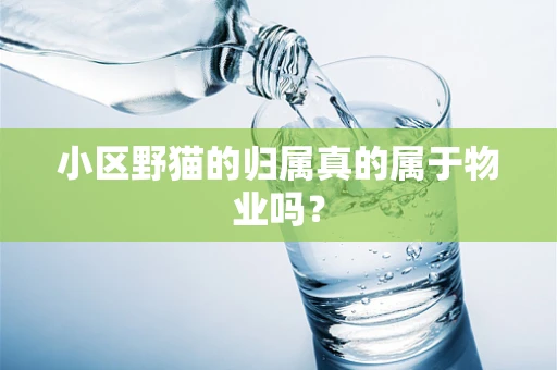 小区野猫的归属真的属于物业吗？