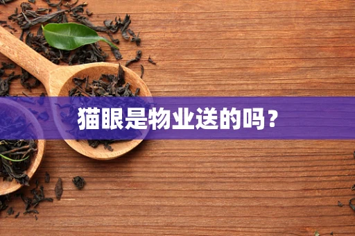 猫眼是物业送的吗？