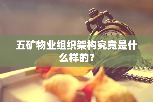 五矿物业组织架构究竟是什么样的？