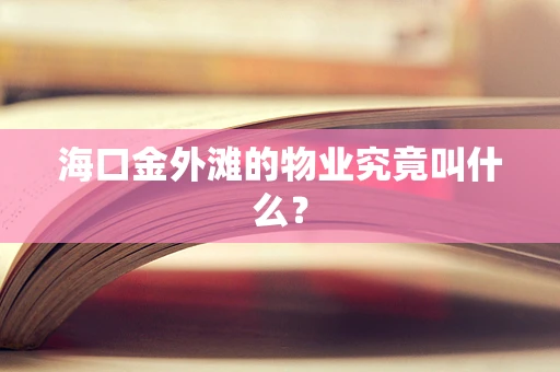 海口金外滩的物业究竟叫什么？