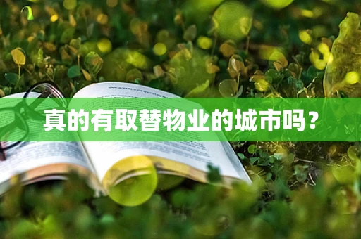 真的有取替物业的城市吗？
