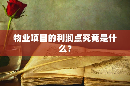 物业项目的利润点究竟是什么？