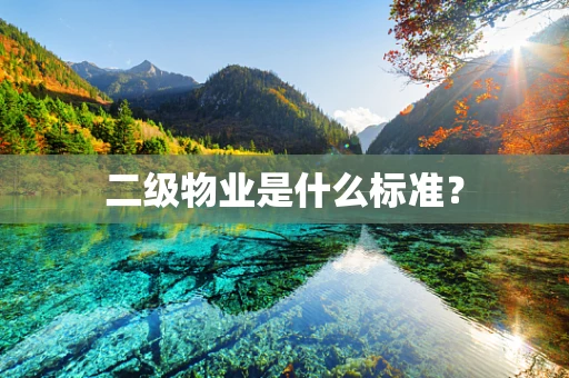二级物业是什么标准？
