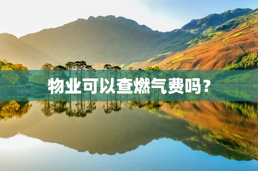 物业可以查燃气费吗？