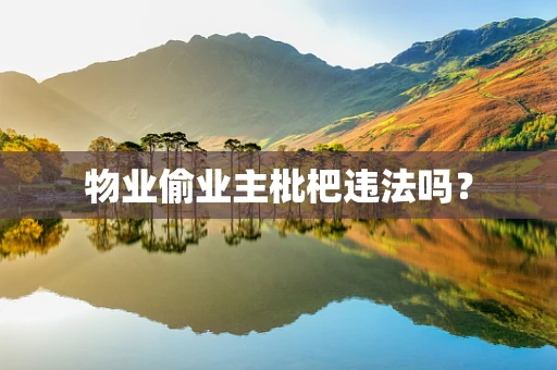 物业偷业主枇杷违法吗？