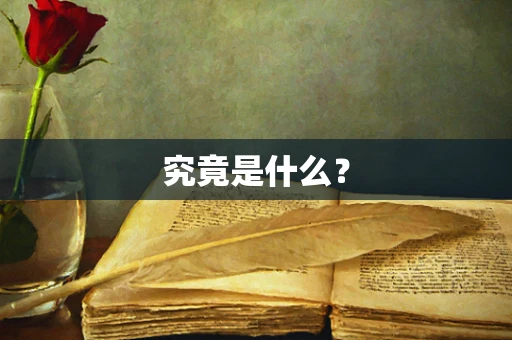 究竟是什么？
