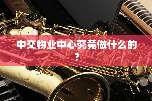 中交物业中心究竟做什么的？