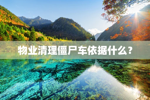 物业清理僵尸车依据什么？