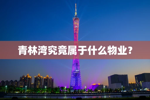 青林湾究竟属于什么物业？