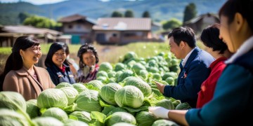 物业送大白菜，这背后有什么深意？