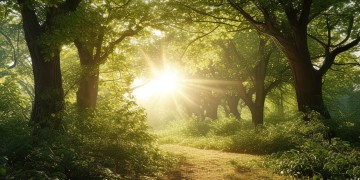 树木影响生活，可以要求物业砍掉吗？